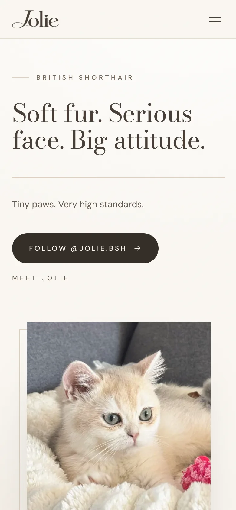 The Jolie website on a phone