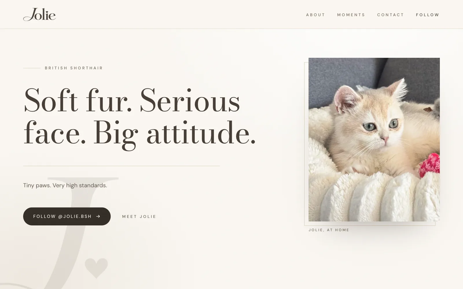 Jolie home page: “Soft fur. Serious face. Big attitude.”